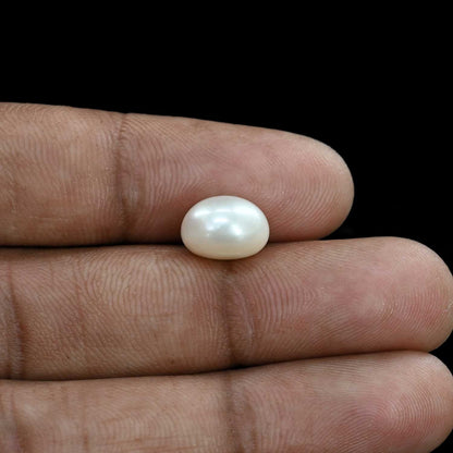 Fresh Water Pearl (Moti) 6.38 Carat
