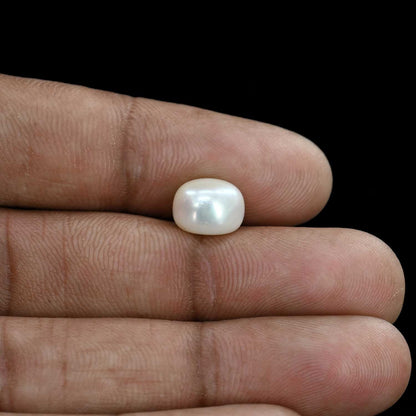 Fresh Water Pearl (Moti) 5.5 Carat