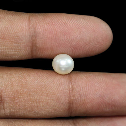 South Sea Pearl (Moti) 4.27 Carat