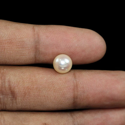 South Sea Pearl (Moti) 4.64 Carat