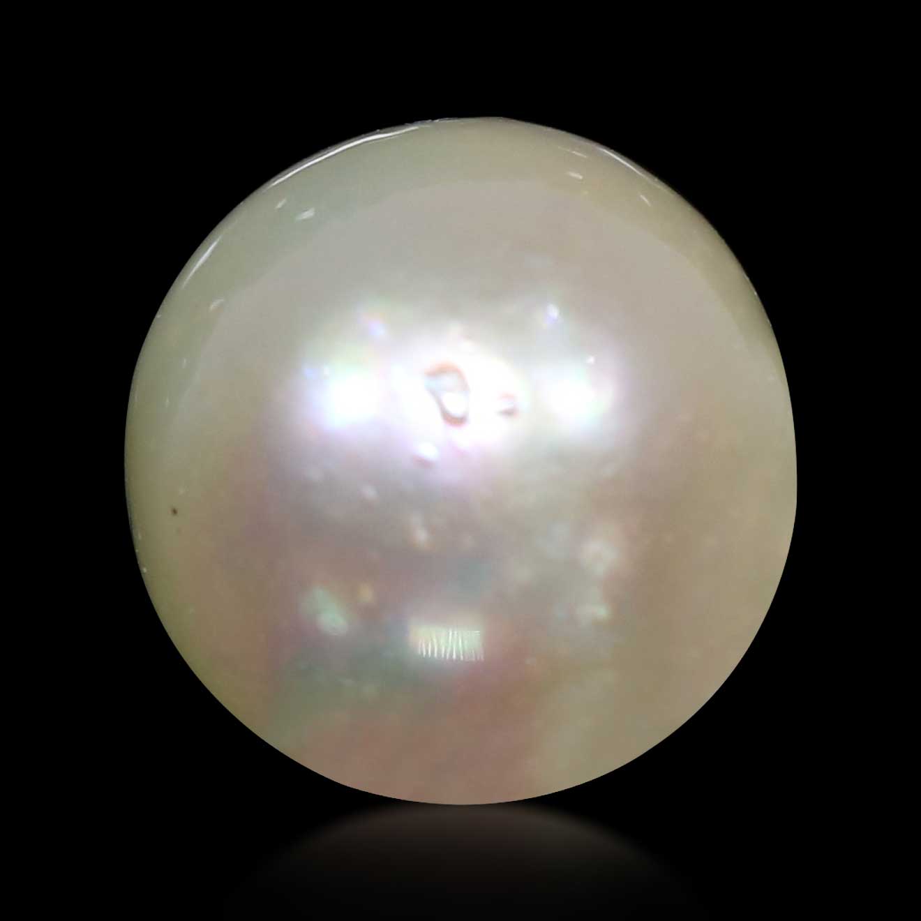 South Sea Pearl (Moti) 5.84 Carat