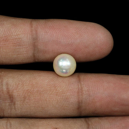 South Sea Pearl (Moti) 5.84 Carat