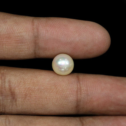 South Sea Pearl (Moti) 5.84 Carat