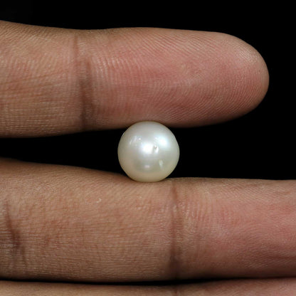 South Sea Pearl (Moti) 9.03 Carat