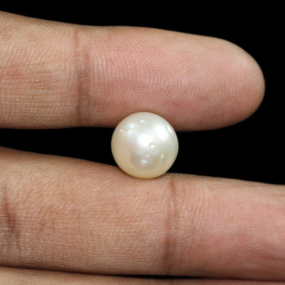 South Sea Pearl (Moti) 11.15 Carat