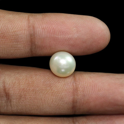South Sea Pearl (Moti) 8.8 Carat