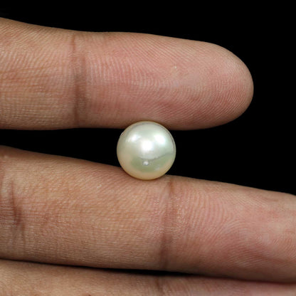 South Sea Pearl (Moti) 8.8 Carat