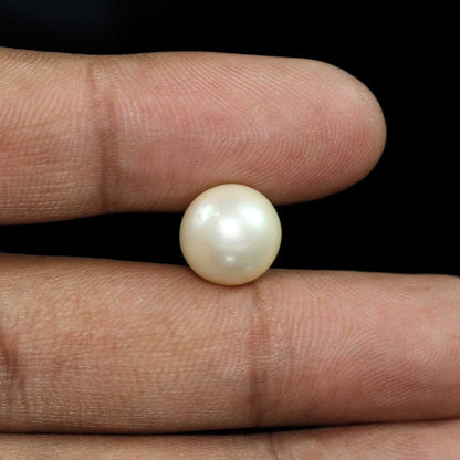 South Sea Pearl (Moti) 10.88 Carat