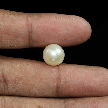 South Sea Pearl (Moti) 10.88 Carat