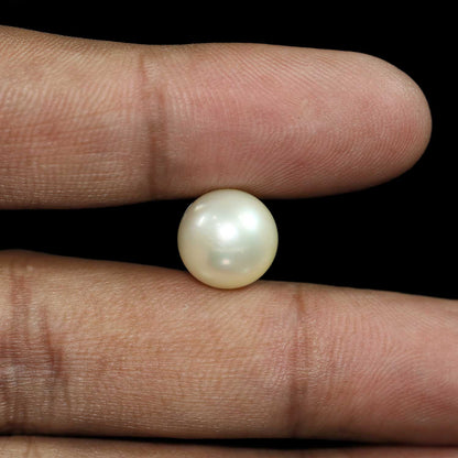 South Sea Pearl (Moti) 10.88 Carat