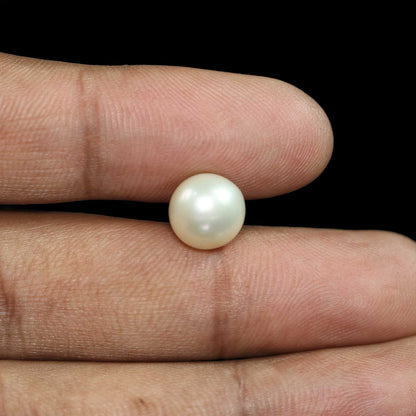 South Sea Pearl (Moti) 7.14 Carat