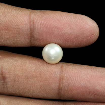 South Sea Pearl (Moti) 7.14 Carat