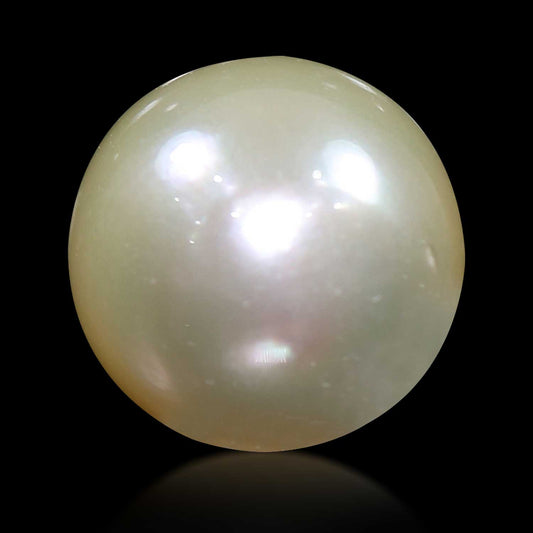 South Sea Pearl (Moti) 6.18 Carat