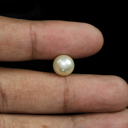 South Sea Pearl (Moti) 6.18 Carat
