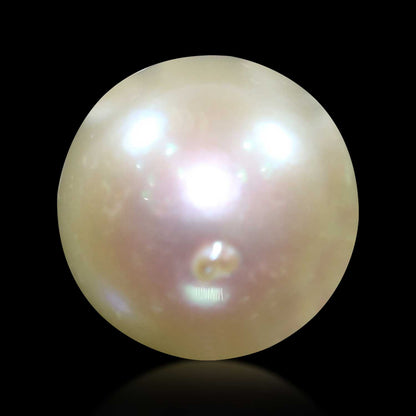 South Sea Pearl (Moti) 6.11 Carat