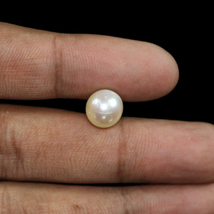 South Sea Pearl (Moti) 7.26 Carat