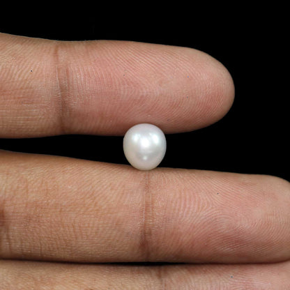 South Sea Pearl (Moti) 4.39 Carat