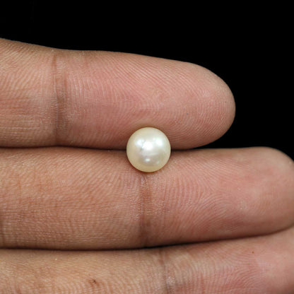 South Sea Pearl (Moti) 3.92 Carat