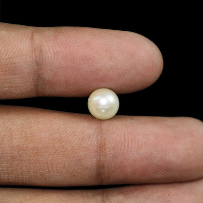 South Sea Pearl (Moti) 3.92 Carat
