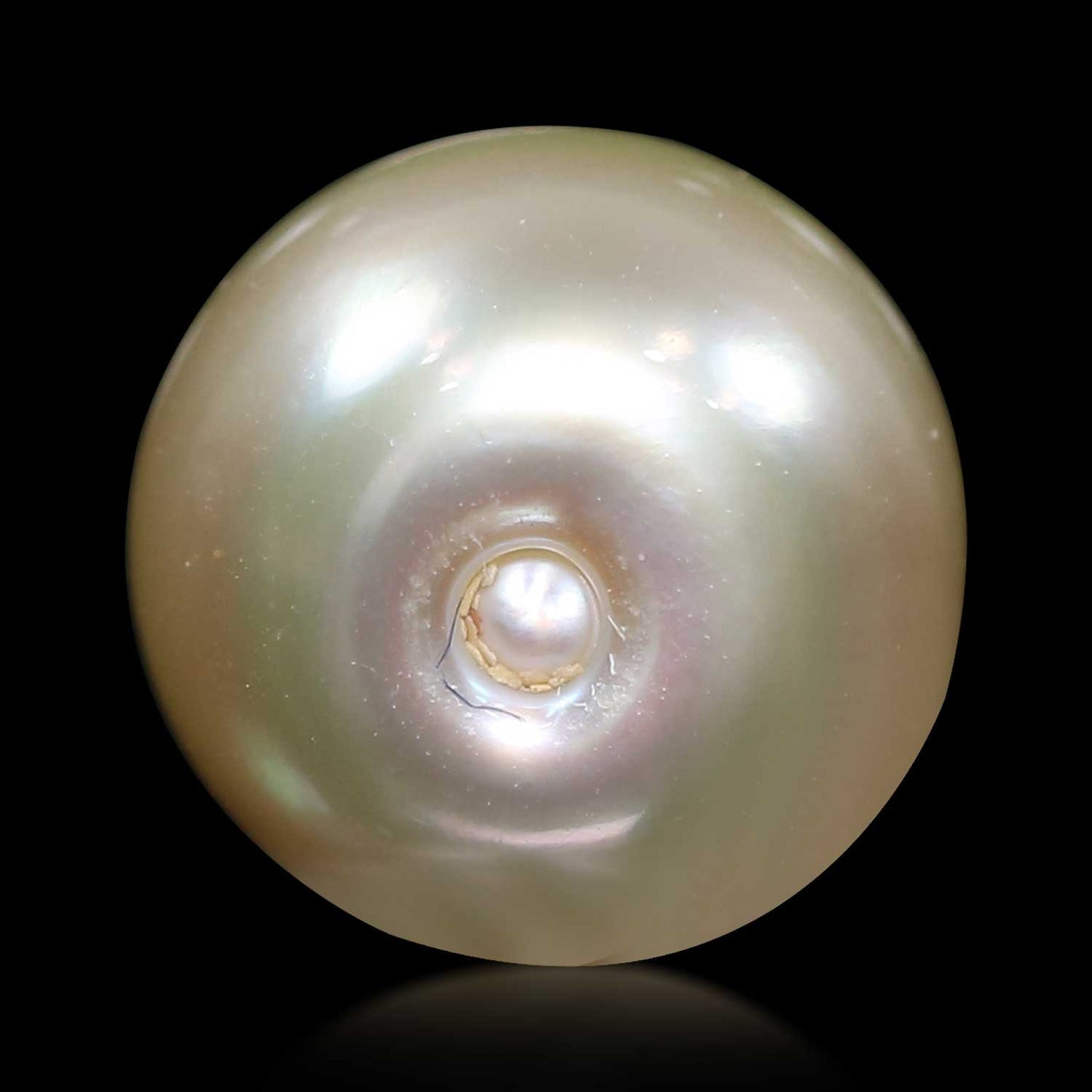 South Sea Pearl (Moti) 7.75 Carat
