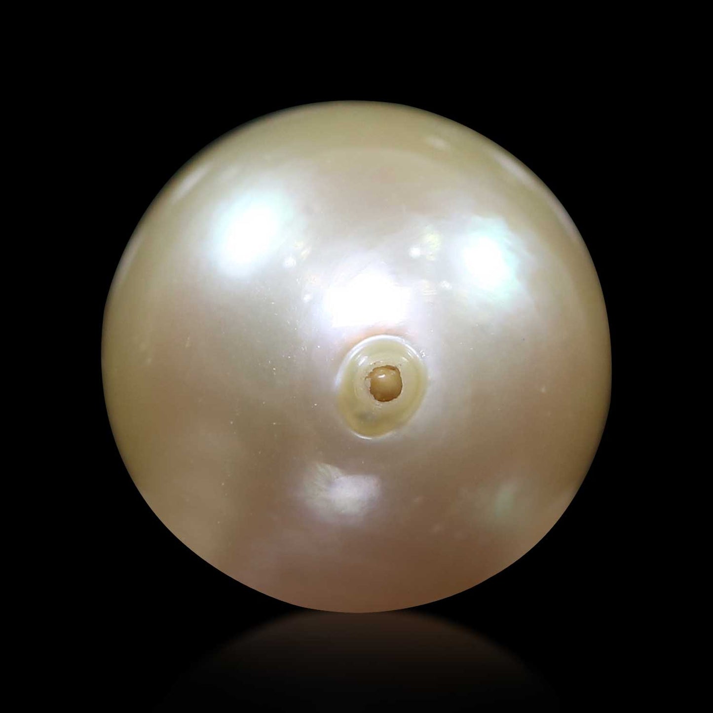 South Sea Pearl (Moti) 12.47 Carat
