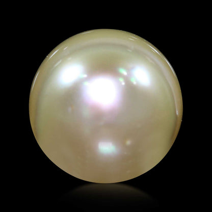 South Sea Pearl (Moti) 13.52 Carat