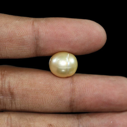 South Sea Pearl (Moti) 13.52 Carat