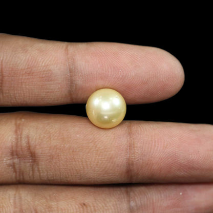South Sea Pearl (Moti) 11.07 Carat