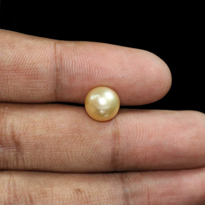 South Sea Pearl (Moti) 6.46 Carat