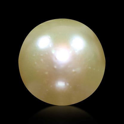South Sea Pearl (Moti) 5.92 Carat
