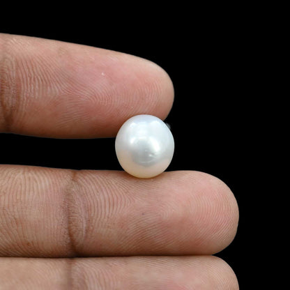 South Sea Pearl (Moti) 7.36 Carat