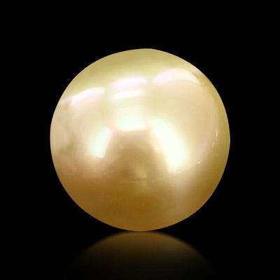 South Sea Pearl (Moti) 6.73 Carat