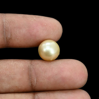 South Sea Pearl (Moti) 8.12 Carat