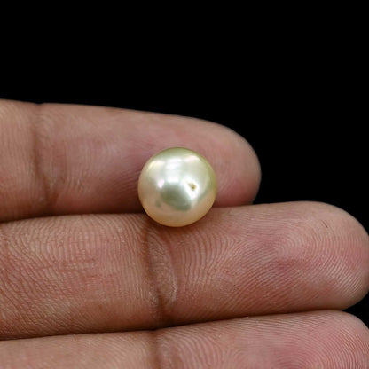 South Sea Pearl (Moti) 6.35 Carat