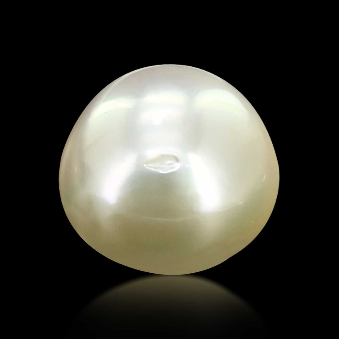 South Sea Pearl (Moti) 11.83 Carat
