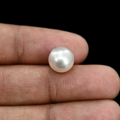 South Sea Pearl (Moti) 7.02 Carat