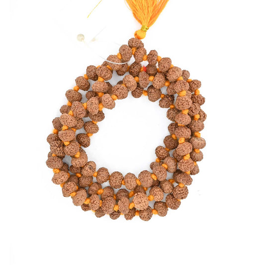 10 Mukhi Rudraksha Mala (Indonesia)