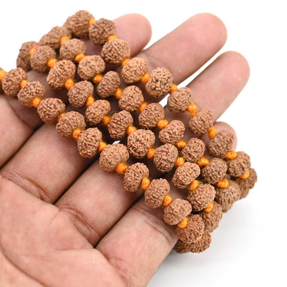 10 Mukhi Rudraksha Mala (Indonesia)