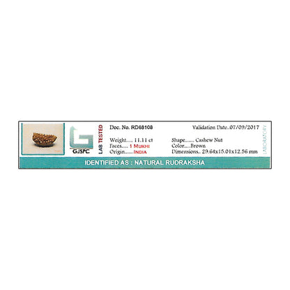 1 Mukhi Rudraksha 29.64 MM