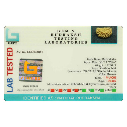 1 Mukhi Rudraksha 28.09 MM
