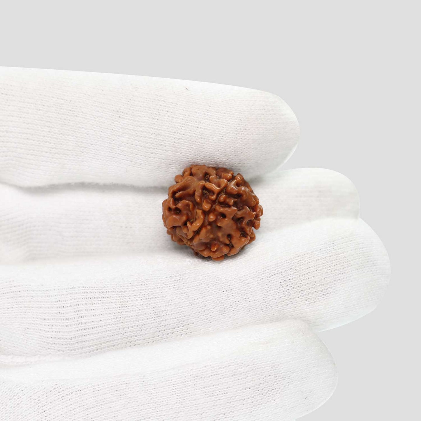 1 Mukhi Rudraksha (Nepal) 18.68 MM