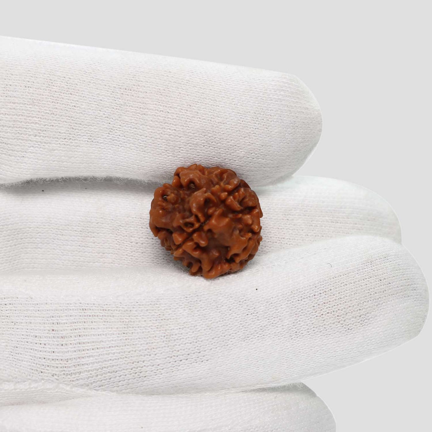 1 Mukhi Rudraksha (Nepal) 17.86 MM