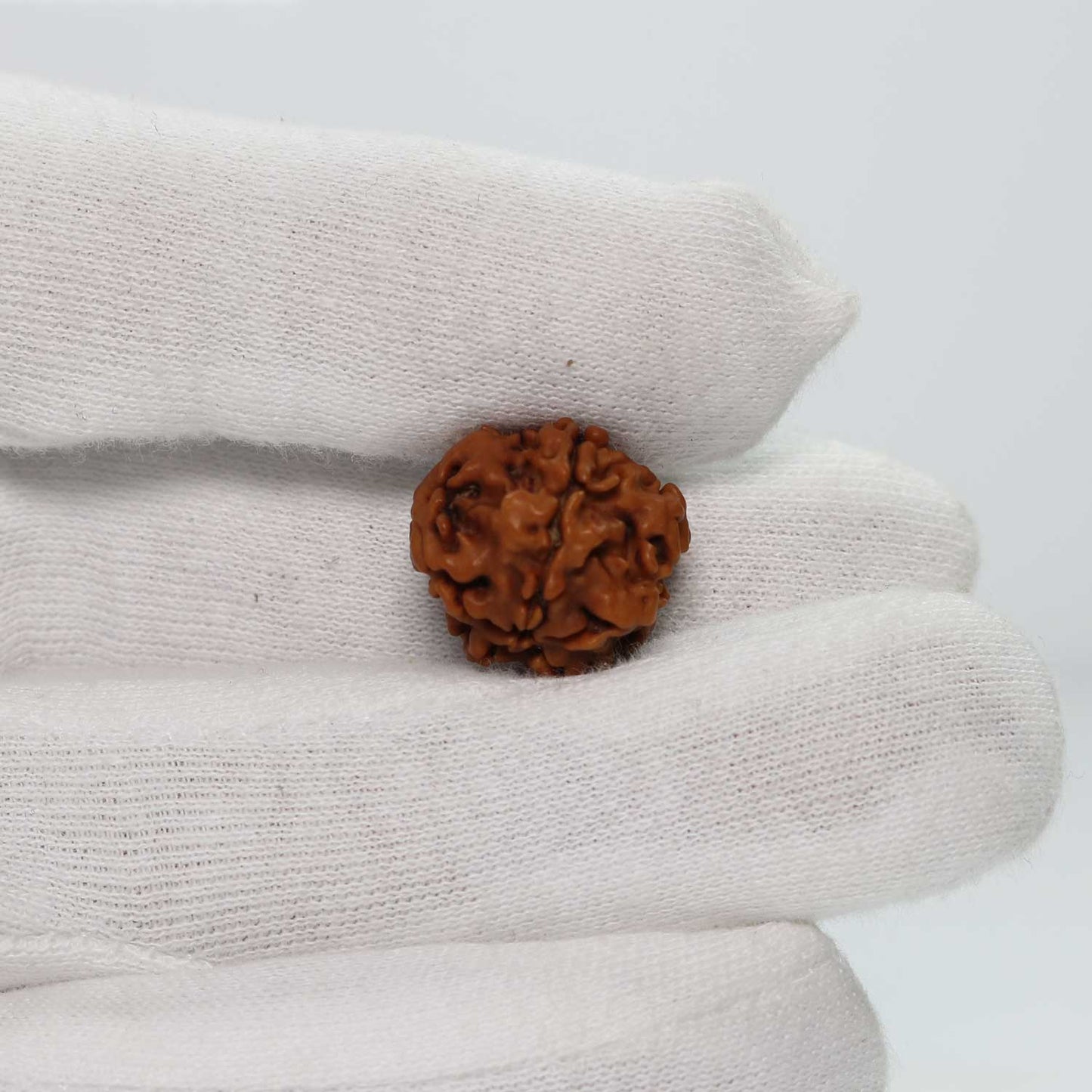 1 Mukhi Rudraksha (Nepal) 17.83 MM