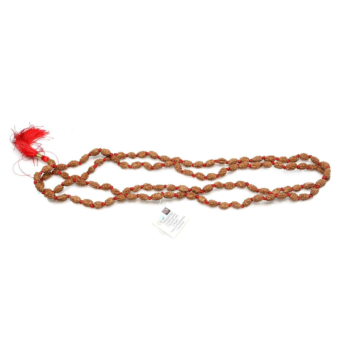 2 Mukhi Rudraksha Mala (108+1 Beads)