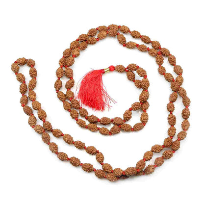 3 Mukhi Rudraksha Mala (Indonesia) (108+1 Beads) GJSPC Certified