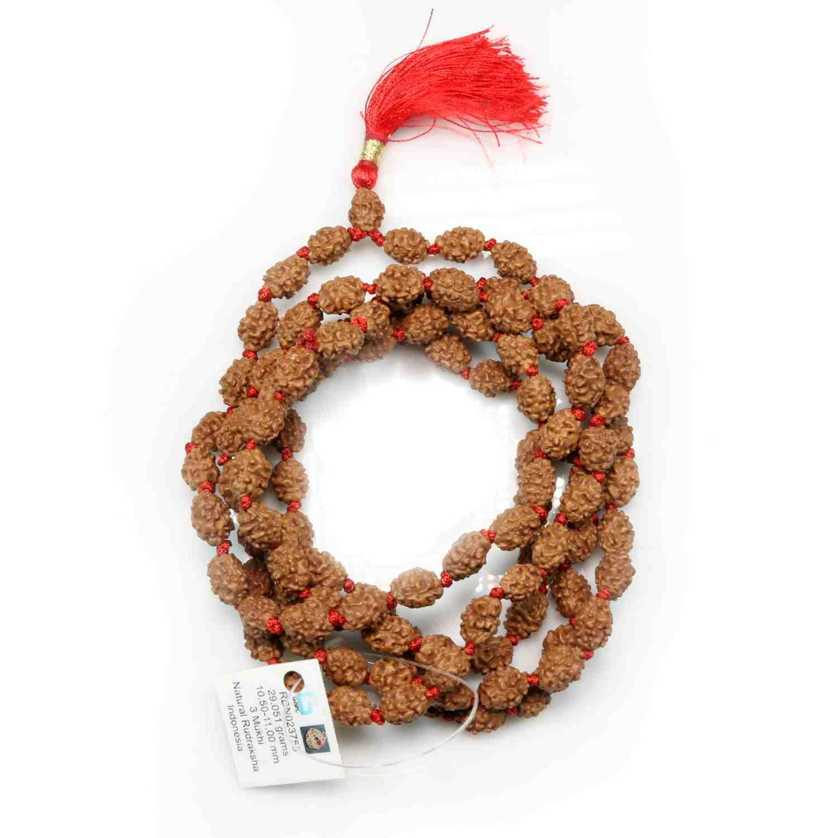 3 Mukhi Rudraksha Mala (Indonesia) (108+1 Beads) GJSPC Certified