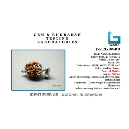 4 Mukhi Rudraksha Silver Pendant (Nepal)