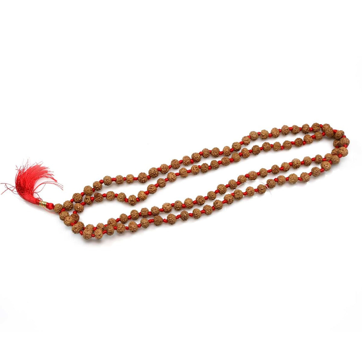 6 Mukhi Rudraksha Mala (108+1 Beads)