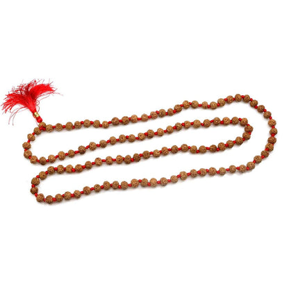 6 Mukhi Rudraksha Mala (108+1 Beads)