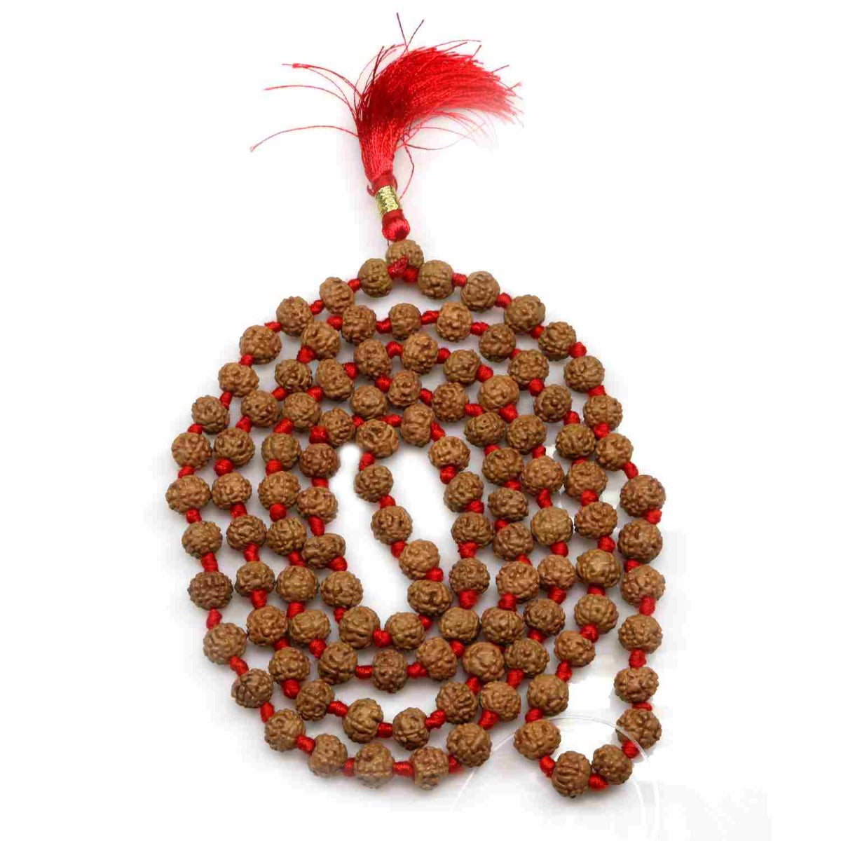 6 Mukhi Rudraksha Mala (108+1 Beads)